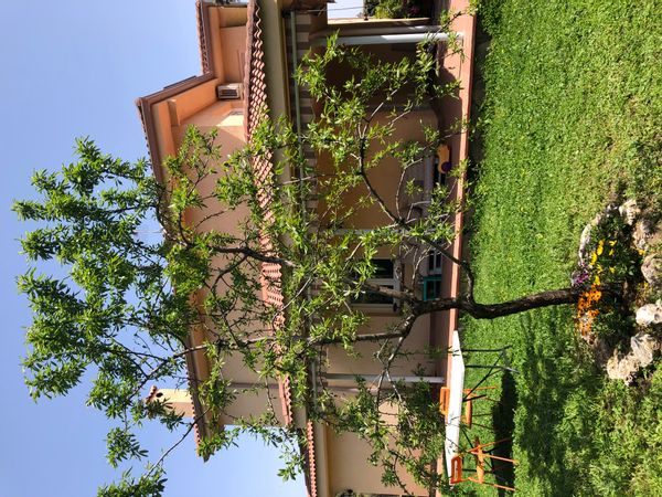 La maison de Familia Martín