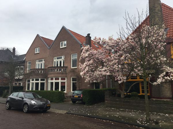 La maison de Michiel