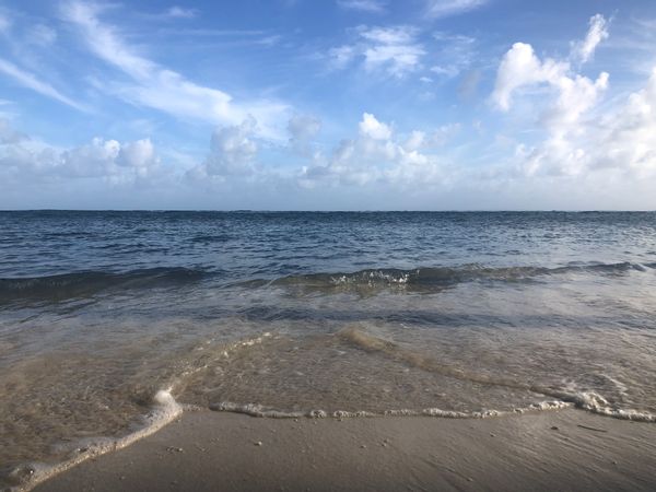 Be On The Beach - FISH