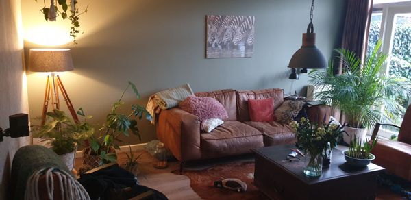 La maison de Marieke