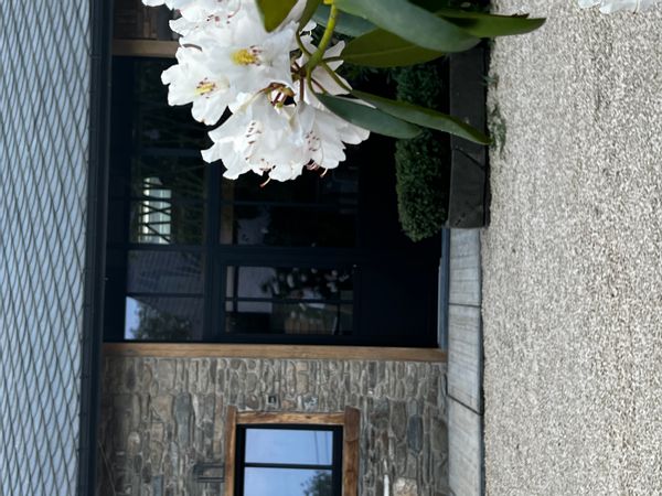 Gîte wellness duo guest house - Ardennes