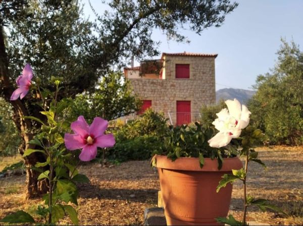 La maison de Mark