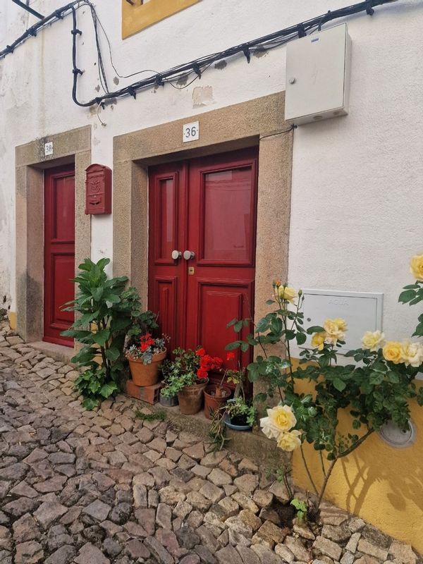 La maison de Tycho