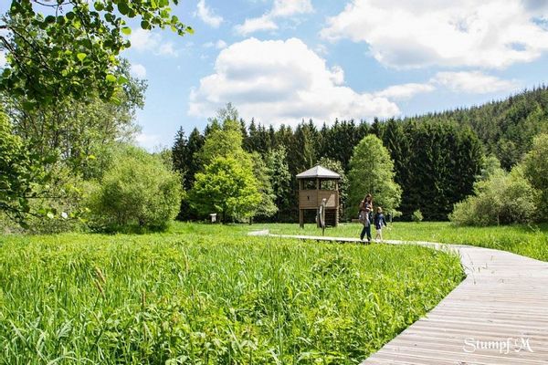 Le petit nid de Céline et Léo à proximité de la Vallée du Lac
