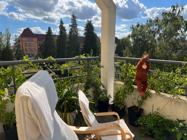 Grand appartement à 15min de Colmar. Idéal pour familles.