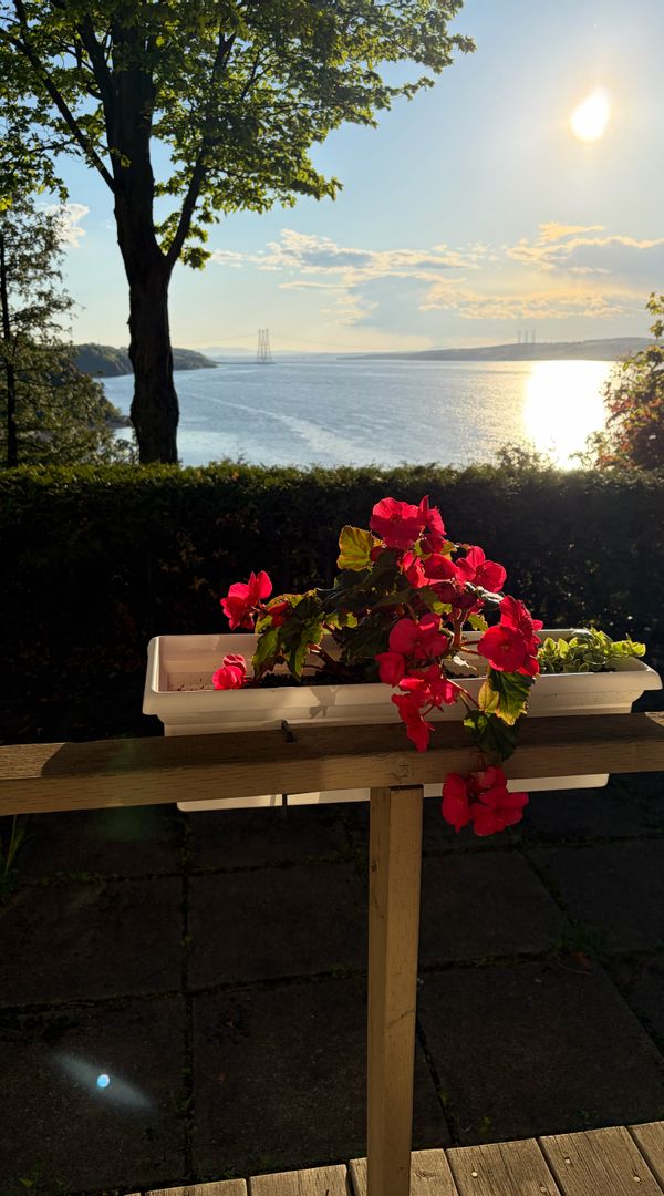 Petite maison d’invités avec vue  magnifique et intimité.