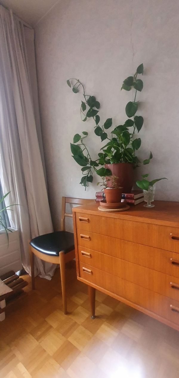 Mon appartement vintage a Forest
