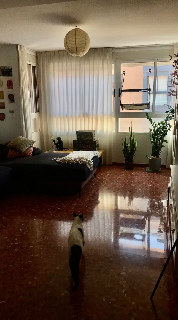 La maison de leticia