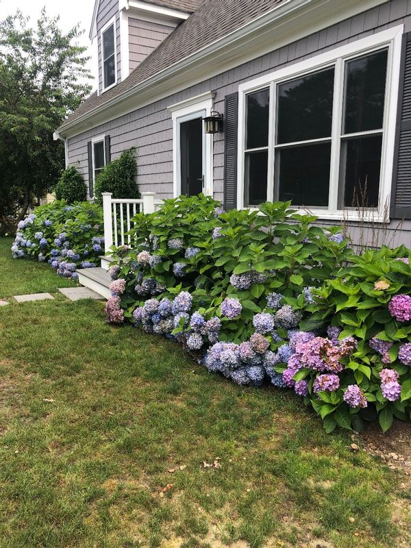 La maison de Janet and Ray
