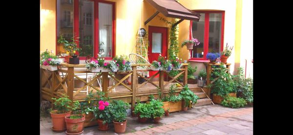 La maison de Jonas