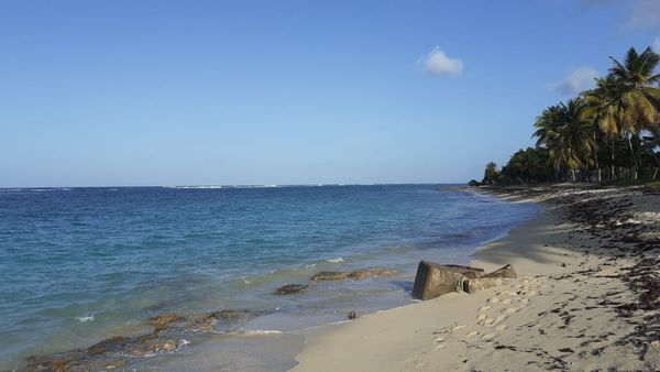 Le refuge de Martine (French West indies )