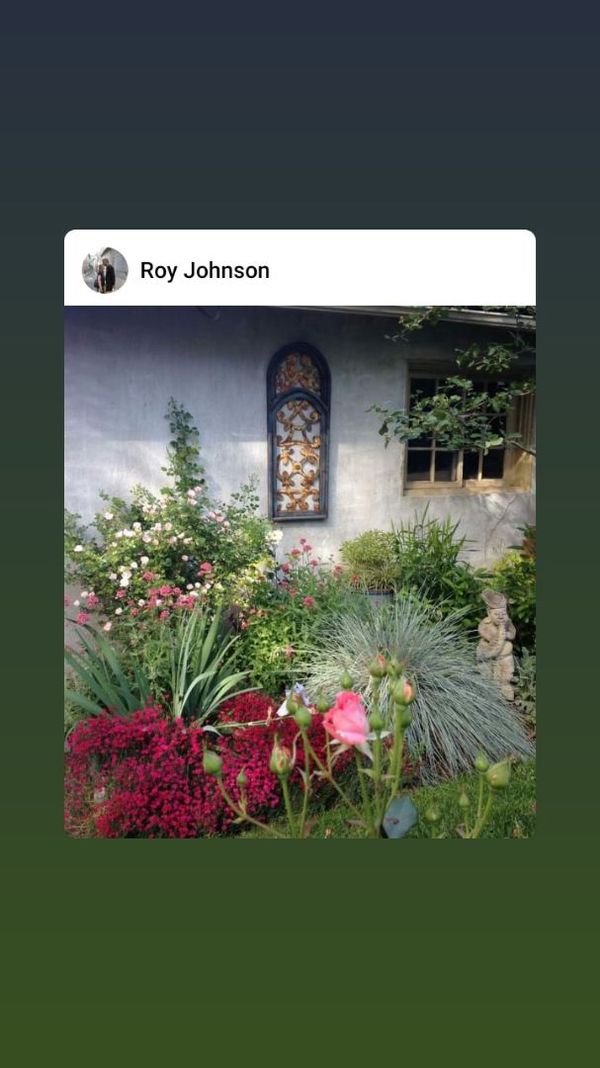 La maison de Roy