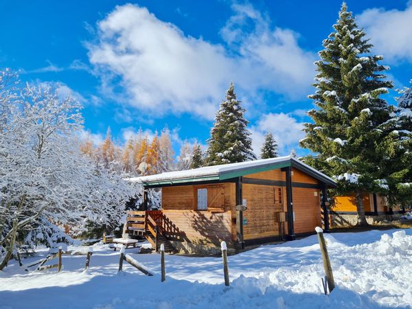 Chalet 4**** La Cora, au pied des pistes de Font-Romeu/Pyrénées 2000 et  en lisière de foret