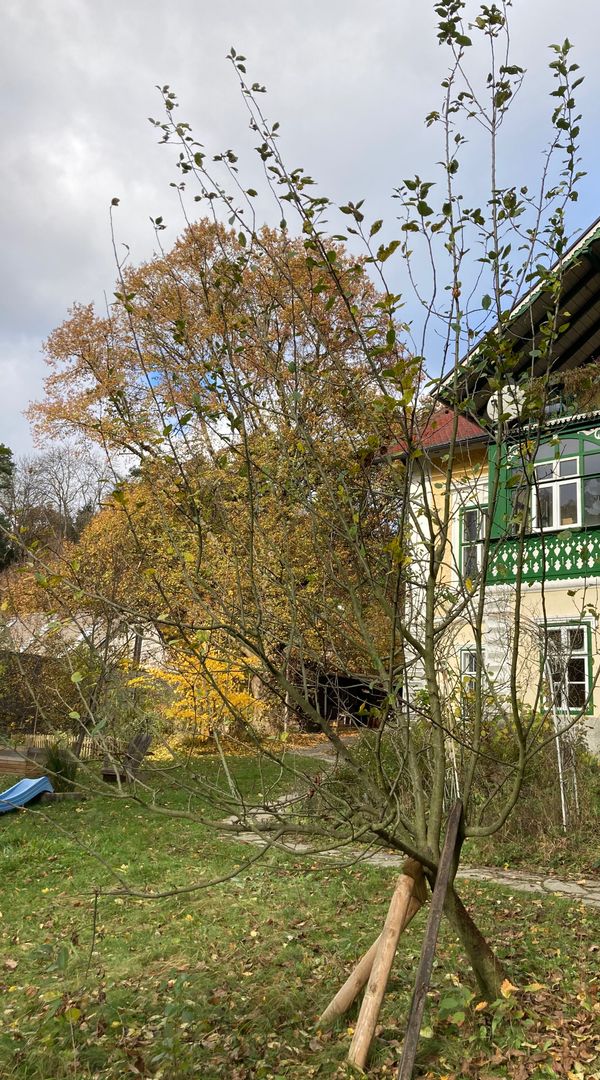 La maison de Karim