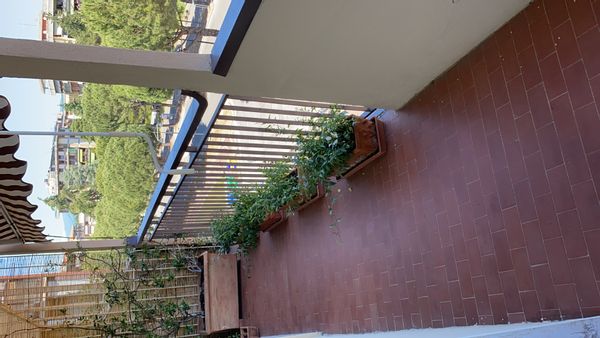 La maison de Sara Andrea