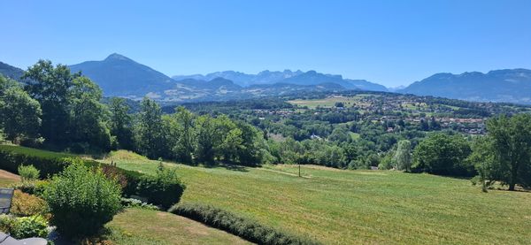 Chalet en rondins