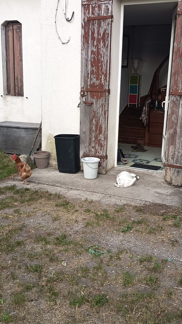 la ferme