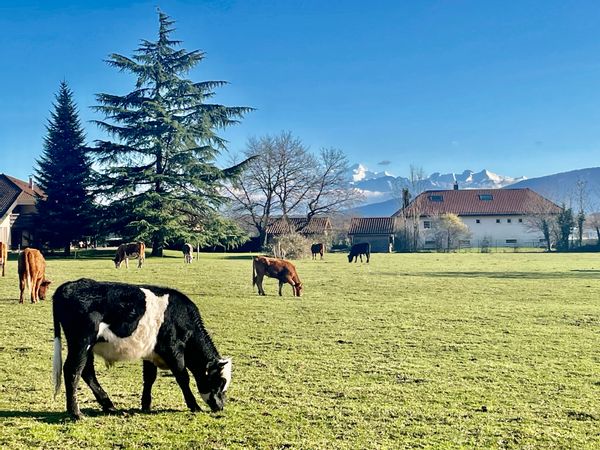 Cocon nature aux portes de Genève
