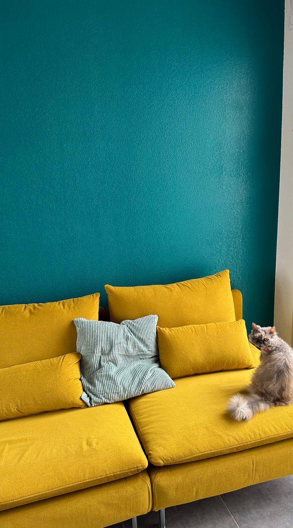 La maison de Chloe proche MEET / Toulouse