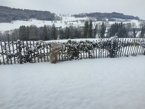Maison en campagne suisse Vous apprécierez calme, nature et randonnées et jacuzzi en fin de journée