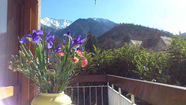 La maison de Florence "Sous le Canigou"