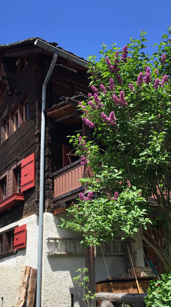 La maison de Nicole