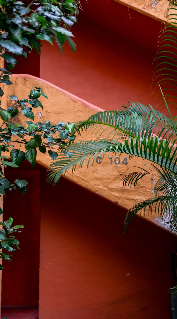 La maison de Arturo