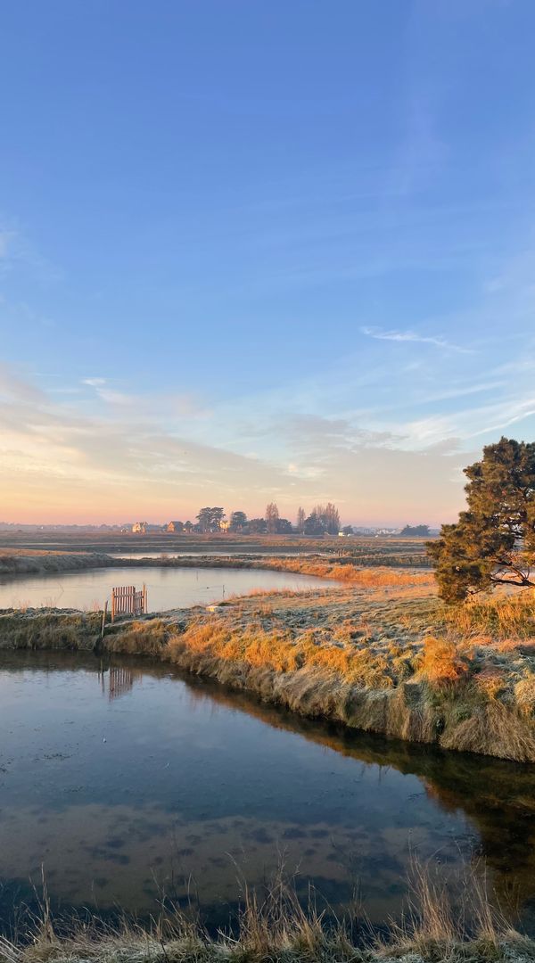 Entre Océan et Marais Salants : bienvenue à Saillé !