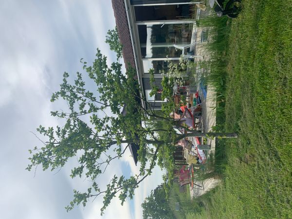 La maison de Katrine