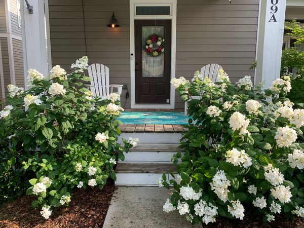 La maison de Drew Ann