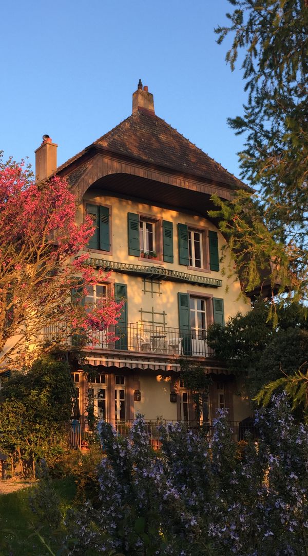 Petit appartement cosy dans belle maison centenaire à Yverdon-les-Bains