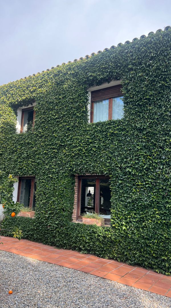 La maison de Patricia