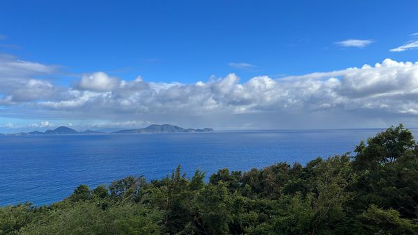 Les Saintes sur ma terrasse ❤️