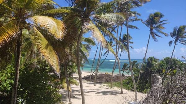 Voyage en Martinique
