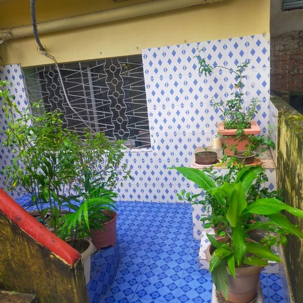 La maison de Megha