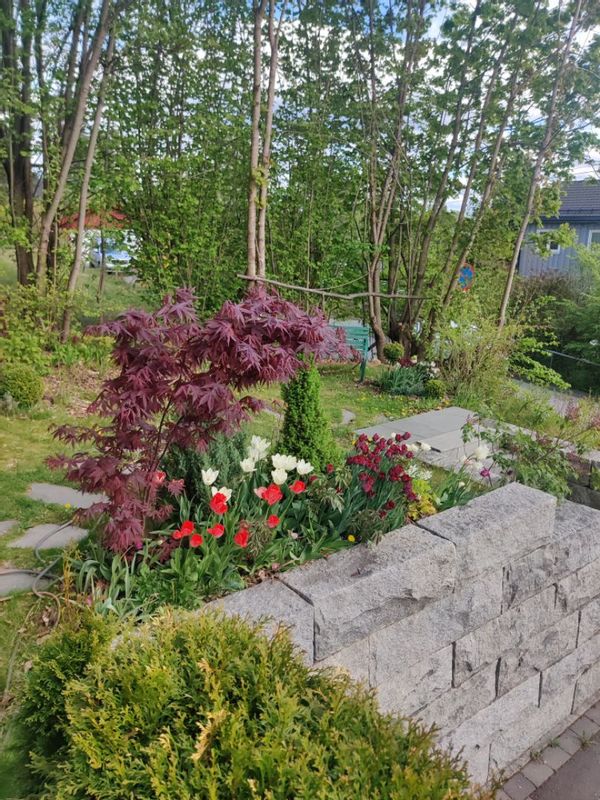 Spacious house with garden