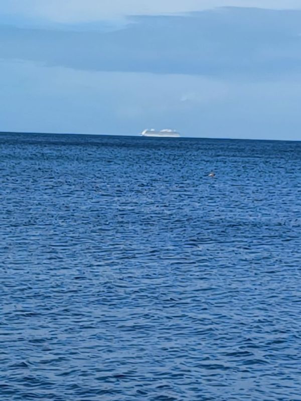 Kayali