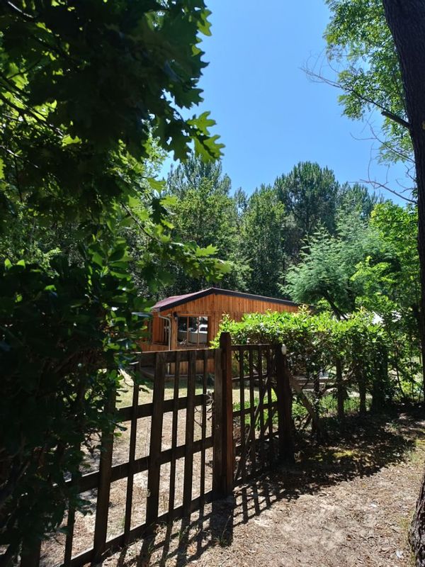 Cabane forestière au bord du lac de Sanguinet