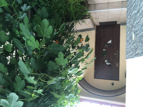 La maison de Mohamed