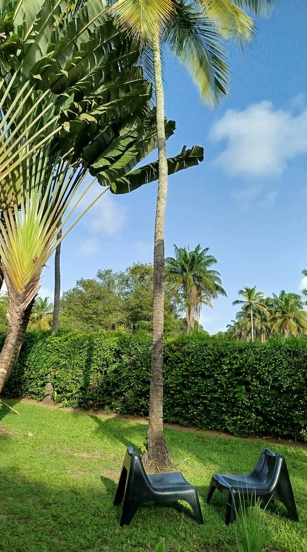 Villa confortable en plein coeur d'Abidjan, la capitale économique de la Côte d'Ivoire