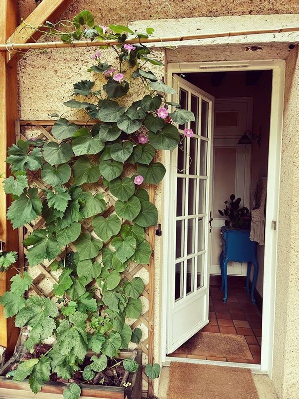 La maison de Yuwei et Adrien — grande maison familiale au calme, avec jardin arboré près de Vendôme