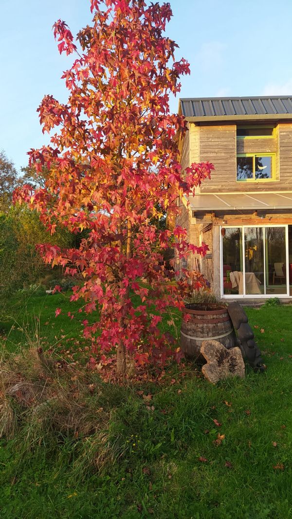 La maison dans la prairie