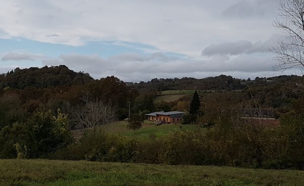 La maison de Steve