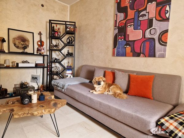 The palm apartment