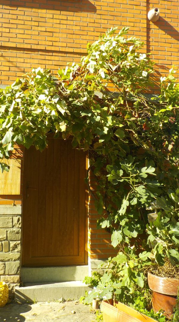 Chambre vue sur Vesdre ou sur jardin
