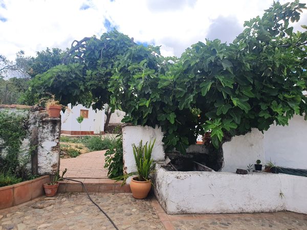 La maison de Rosa