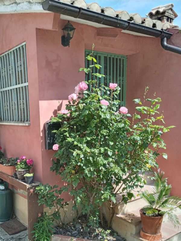 La maison de Pete