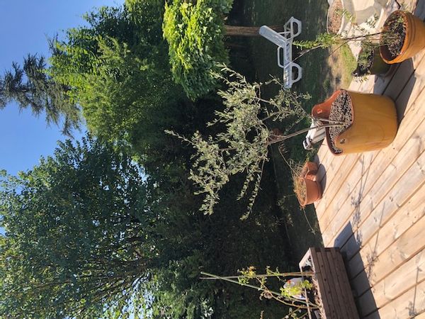 Grande maison avec jardin arboré et piscine au calme et proche du centre ville de Grenoble