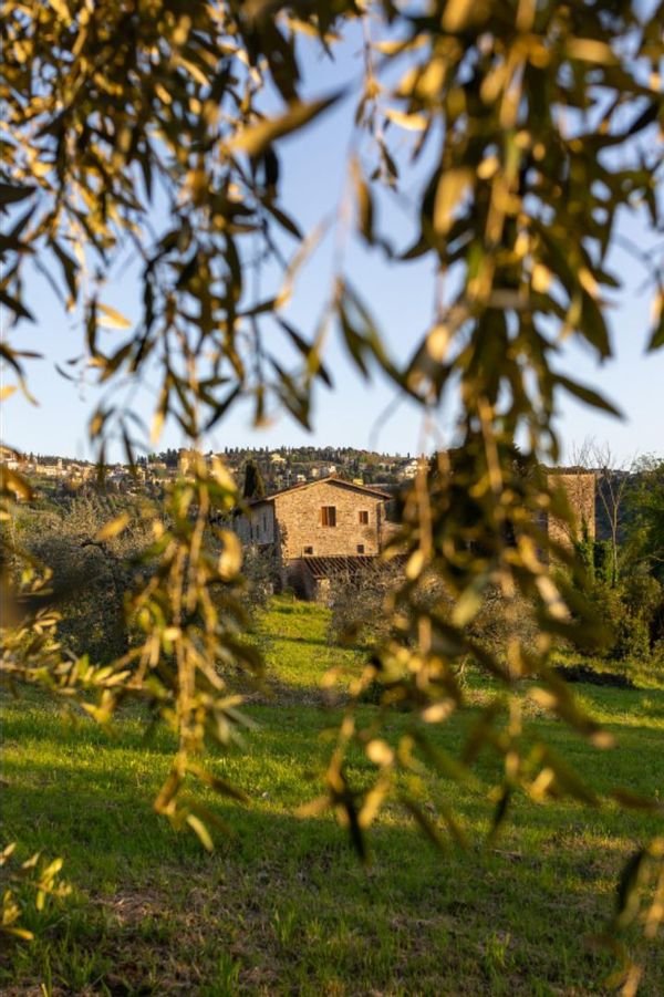 La maison de Gaia