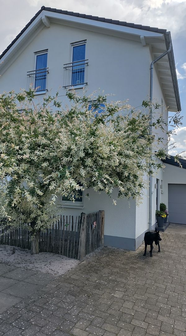 La maison de Silke